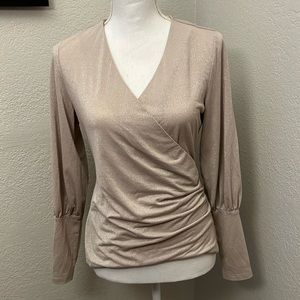 Ann Taylor | Shiny dress up blouse | small